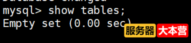 Linux系统之MySQL数据库基础知识