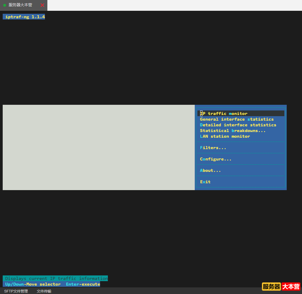 Linux常用命令之IPTraf命令详解